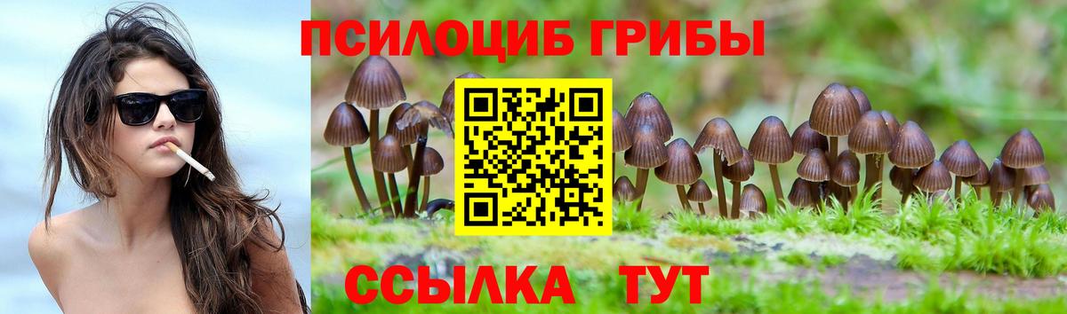 Псилоцибиновые грибы мицелий  Вход с VPN  Нефтекамск 